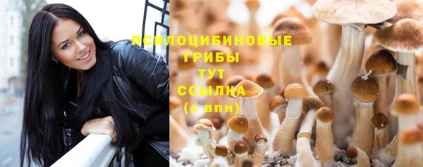 соль ск Володарск
