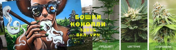 амф Волосово