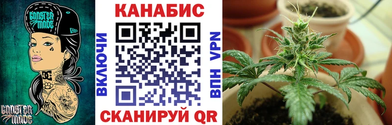 kraken зеркало  Игра  Каннабис тримм  наркота 